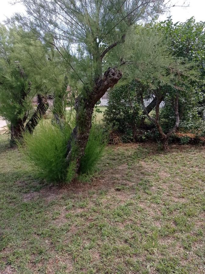 La Maison De Papou La Vigne A Nans Les Pins 83860 外观 照片